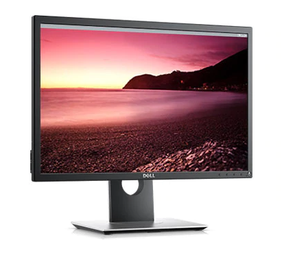 Display :Dell Professional P2217 (22